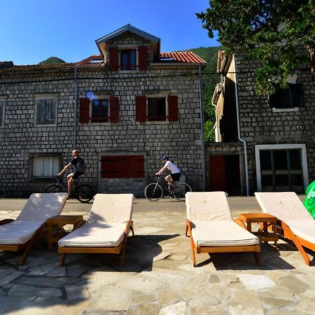 A Hundred Olive Trees Apartments Kotor Buitenkant foto