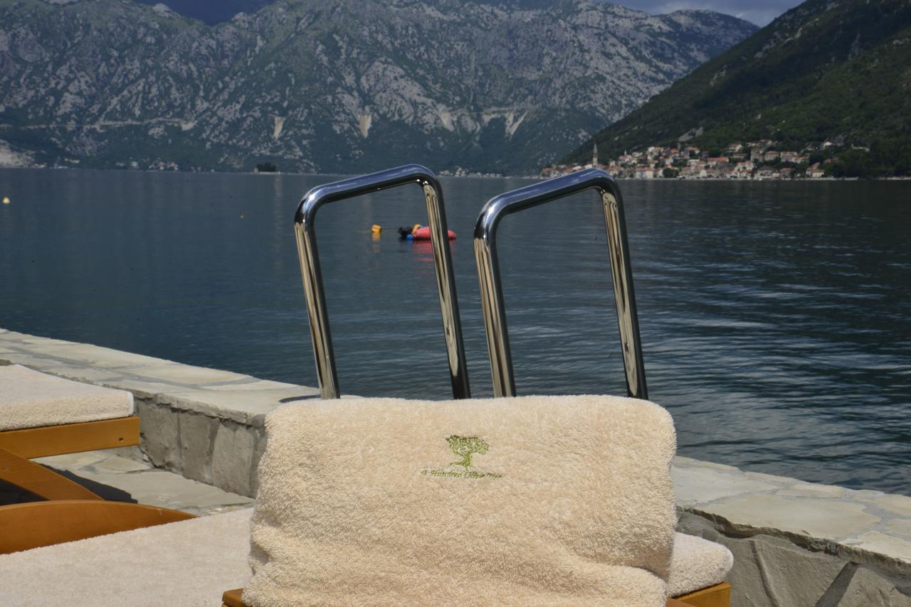 A Hundred Olive Trees Apartments Kotor Buitenkant foto