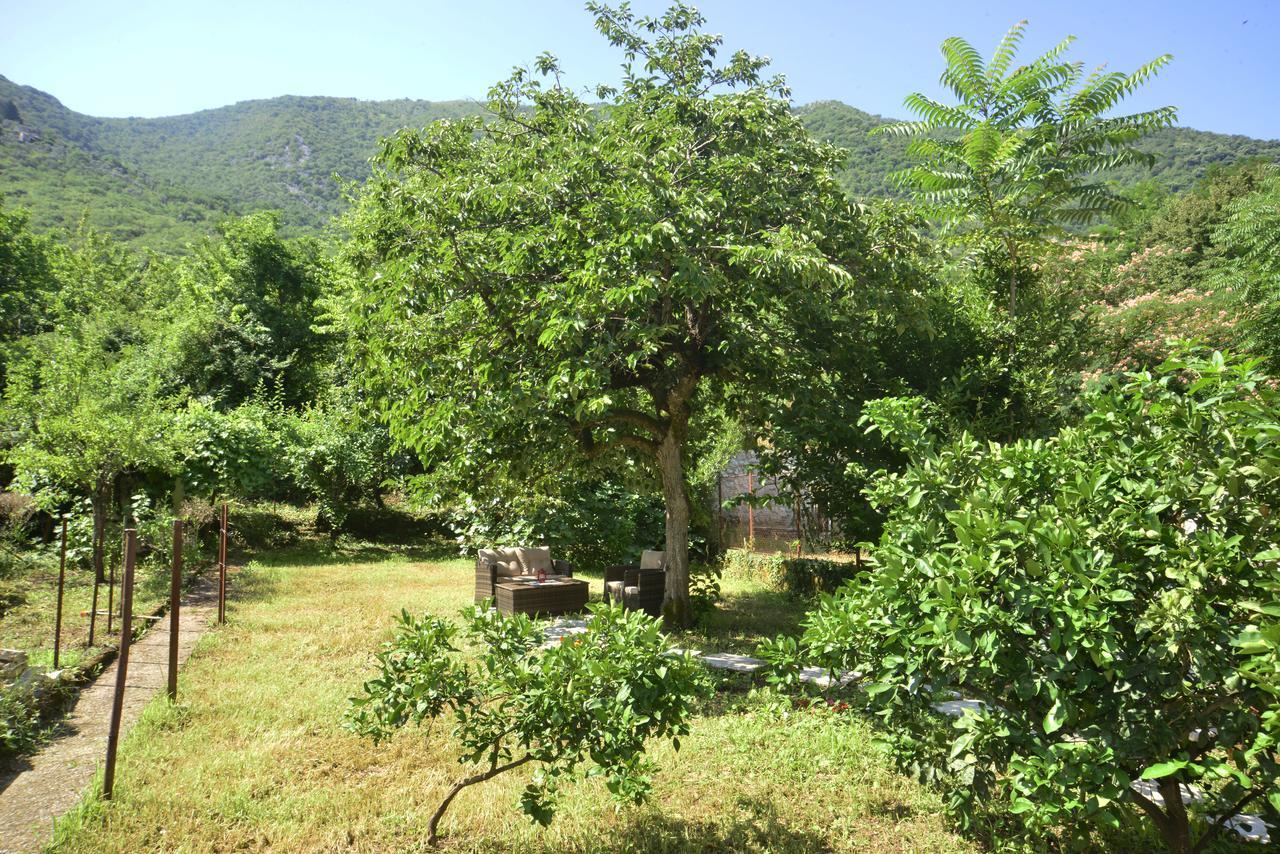 A Hundred Olive Trees Apartments Kotor Buitenkant foto