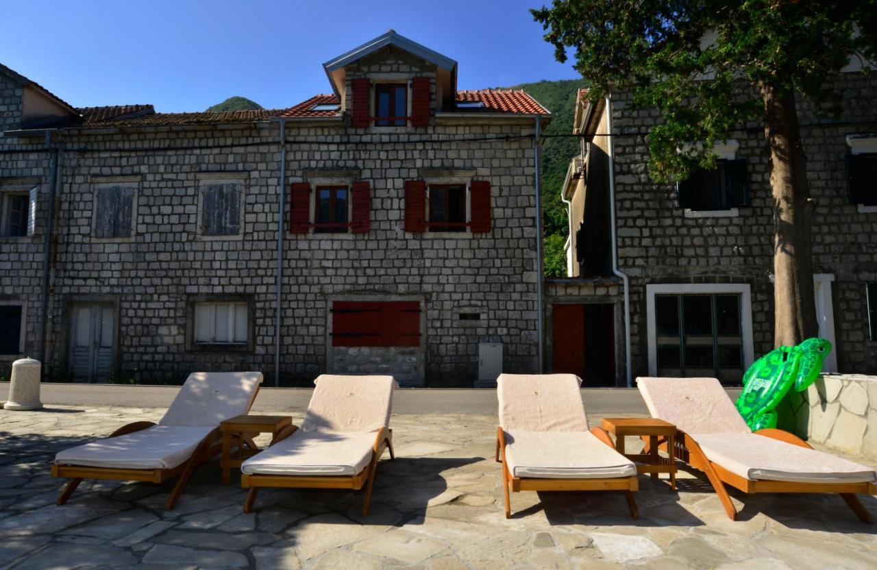 A Hundred Olive Trees Apartments Kotor Buitenkant foto